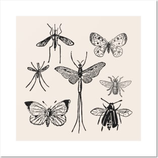 Moths & Butterflies & Insects Posters and Art